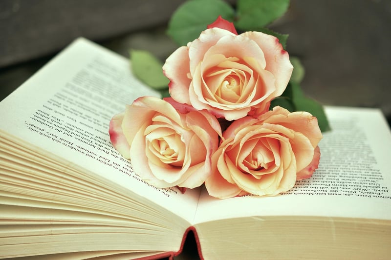 Mindfulness Books